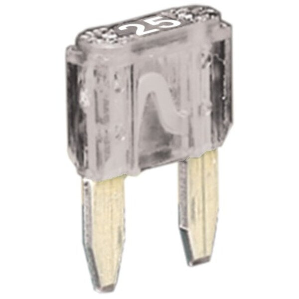 Fuse, 150A, 600V