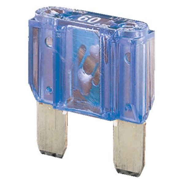 Fuse, 60A, 32V
