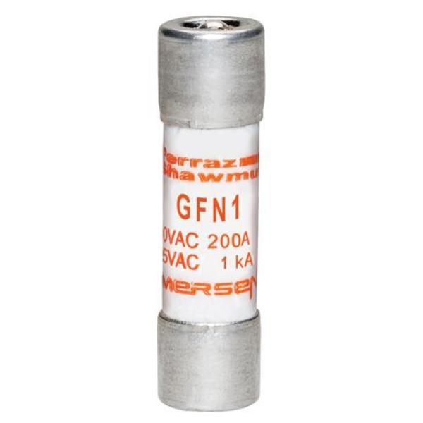 Midget Fuse Time Delay, 1A
