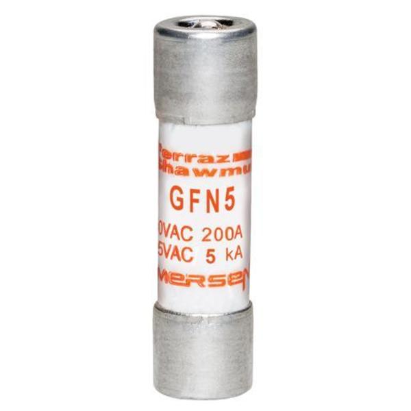 Midget Fuse Time Delay, 5A