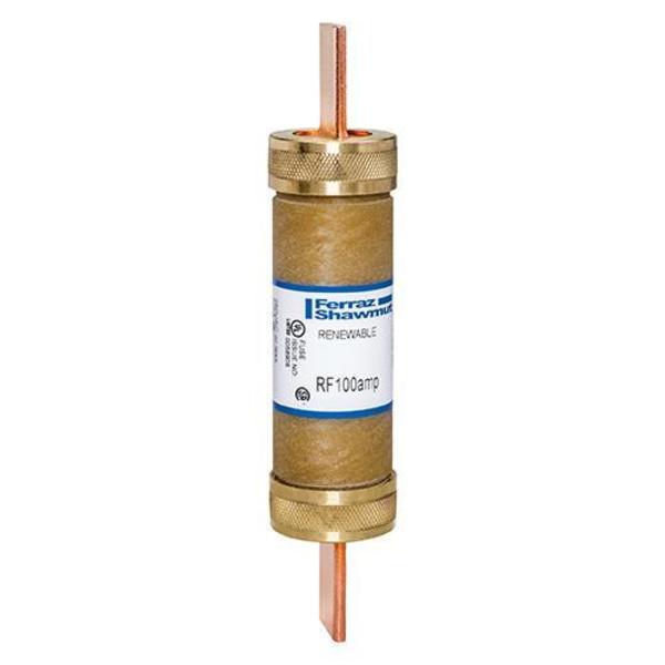 Renewable Fuse, 100A, 250V
