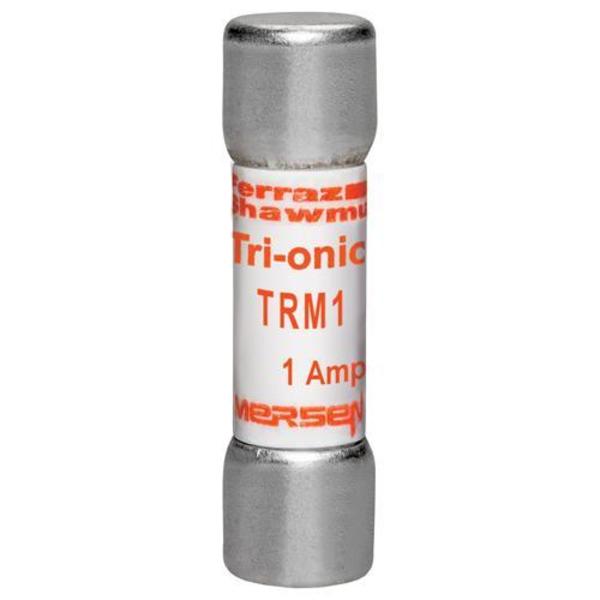 Midget Fuse Time Delay, 1A