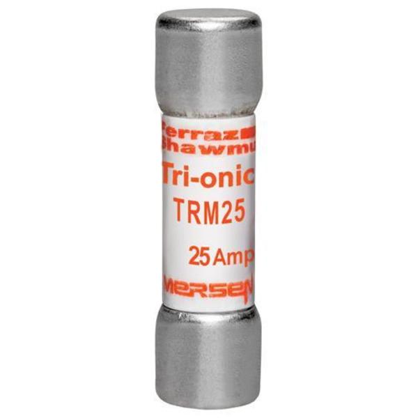 Midget Fuse Time Delay, 25A
