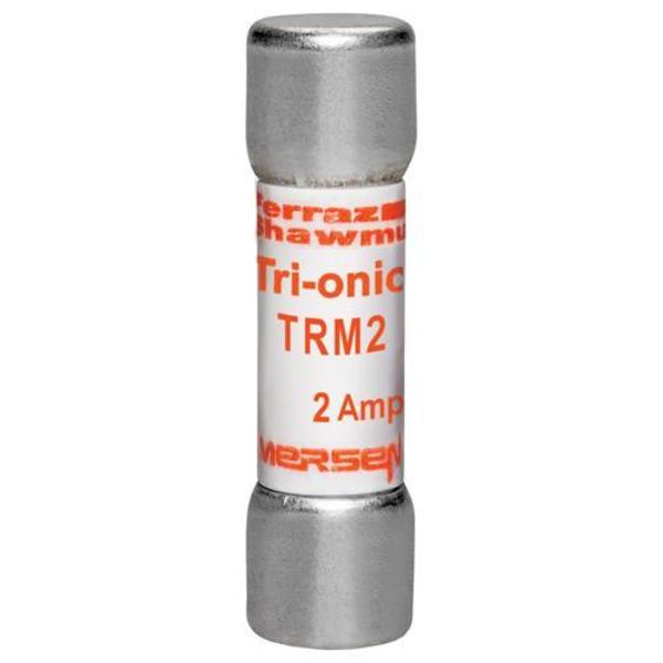 Midget Fuse Time Delay, 2A