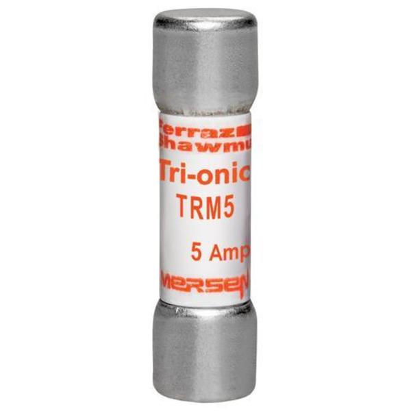 Midget Fuse Time Delay, 5A