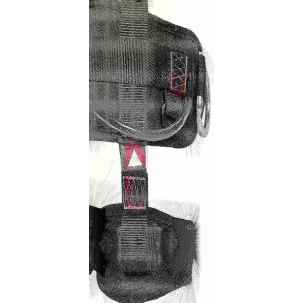 Rescue Harness, Y-Shape, Versatile, Flexible, 2XL Size