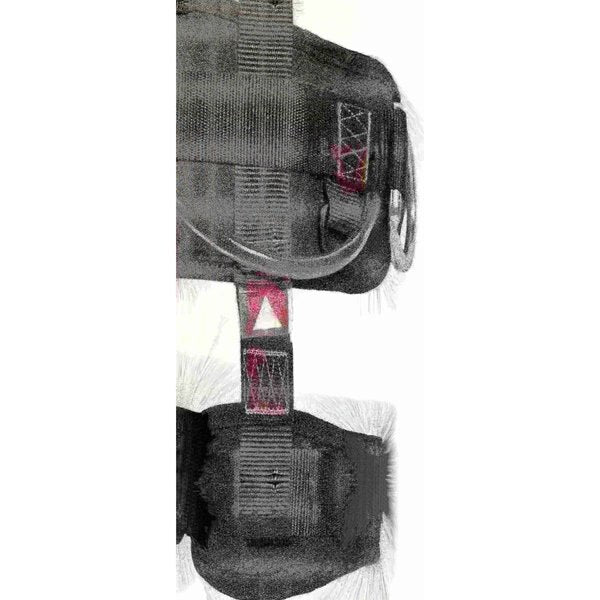 Rescue Harness, Y-Shape, Versatile, Flexible, XL Size
