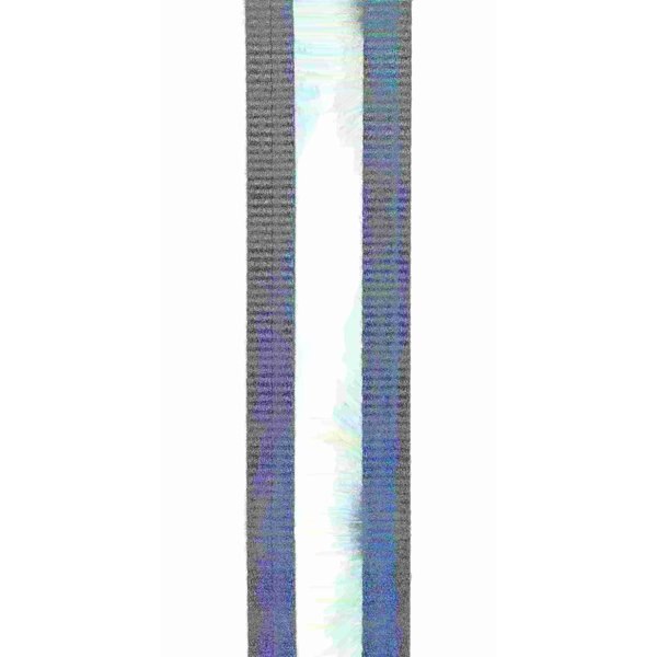 Lanyard, 6 ft., 310 lbs., one person Weight Capacity, Blue and Black