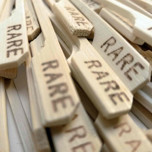 Picks, Rare Paddle, 3-1/2