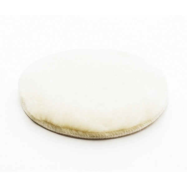 Scouring Pad, 5