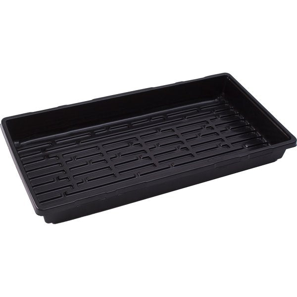 Double Thick Tray