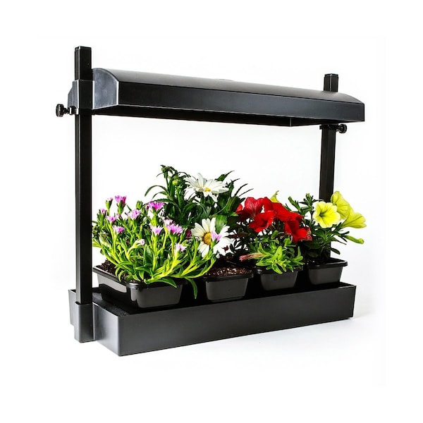 Micro Grow Light Garden, Black
