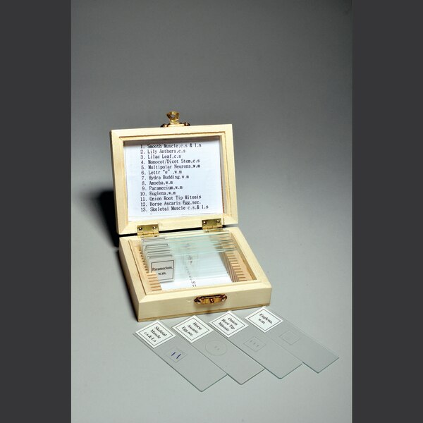 Biology Prepared Slide Set, 13 Slides