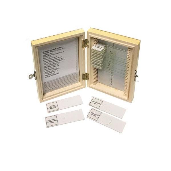 Biology Prepared Slide Set Of 16