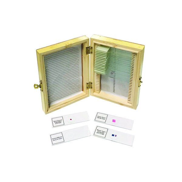 Biology Prepared Slide Set of 20