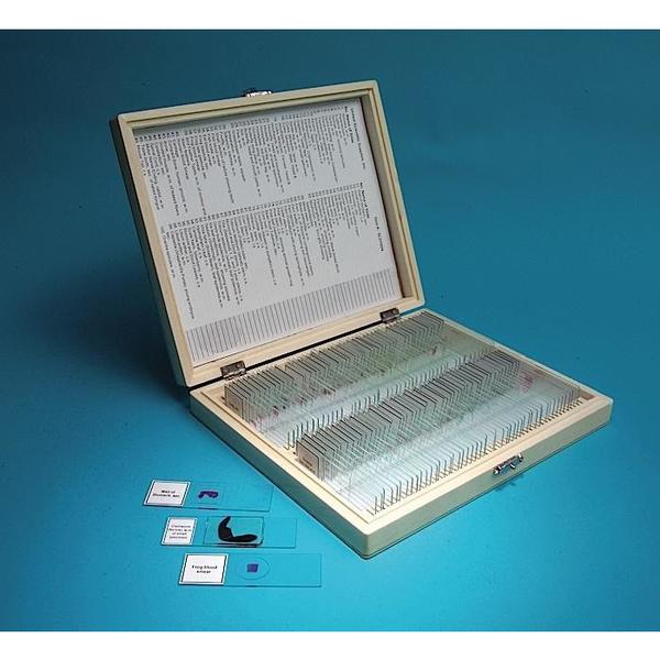 Prepared Slide Set, 100 Slides
