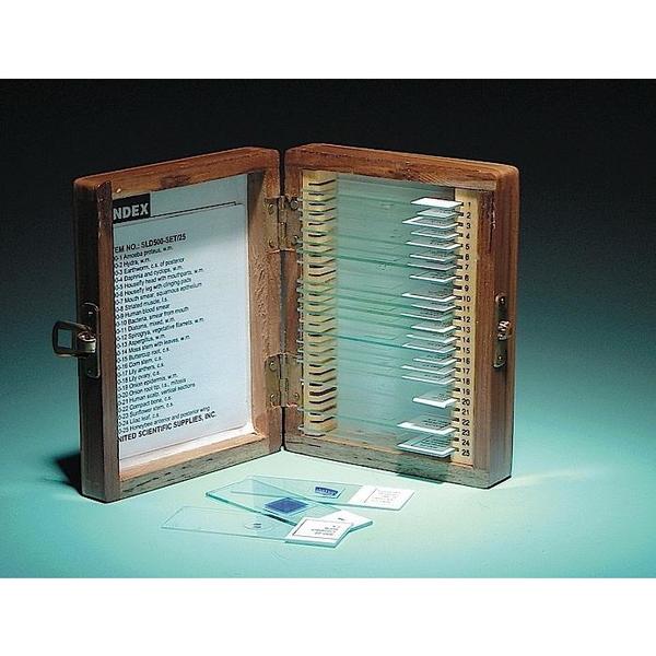 Basic Prepared Slide Set, 25 Slides