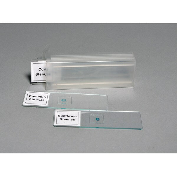 Prepared Slide Set, 4 Slides