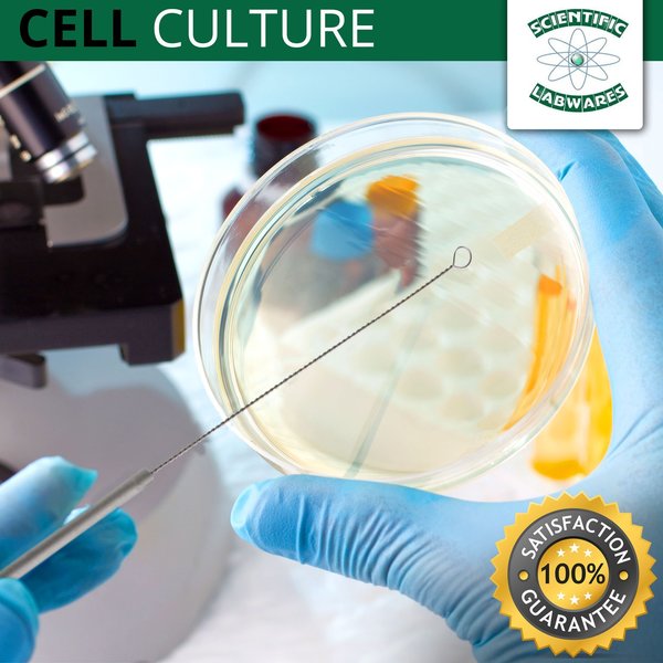 Reusable Inoculating Loops And Needle Se