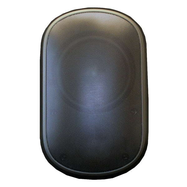 Weather-Resistant, Wall-Mount Speaker6.5