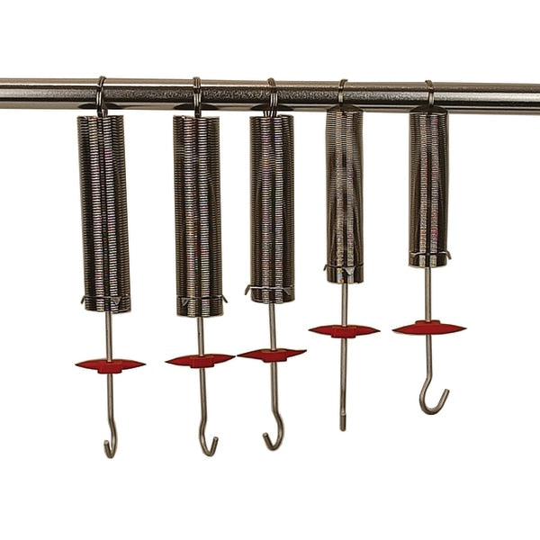 Hookes Law Spring Set Of 5