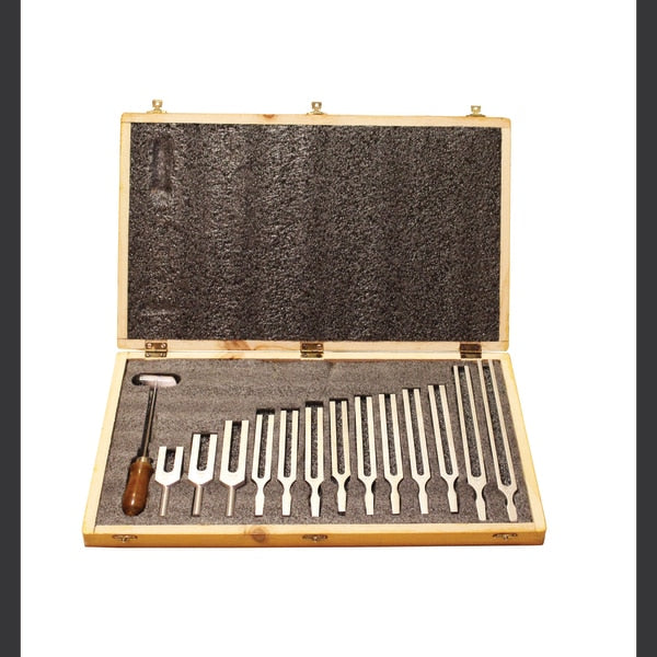Tuning Fork, Boxed Set Of 13,100 Hz To