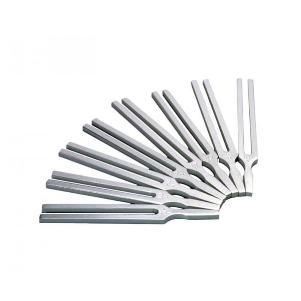 Tuning Fork, 100 Hz.