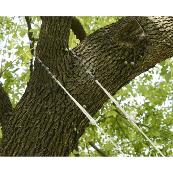 Rope Saw for High Limbs