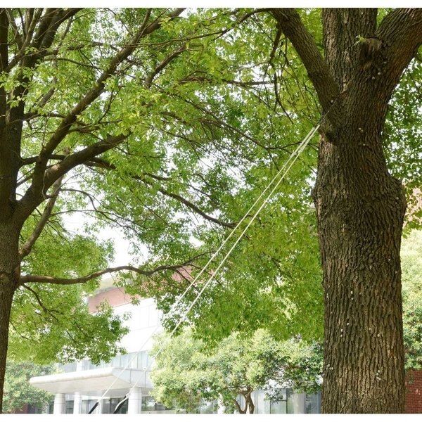 Rope Saw for High Limbs