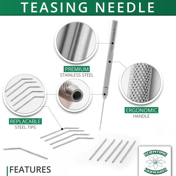 Dissecting Teasing Needle With Metal Hol