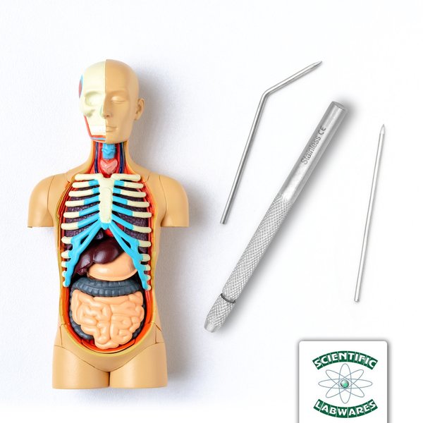 Dissecting Teasing Needle With Metal Hol