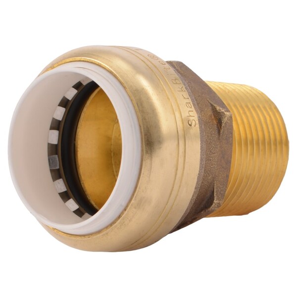 DZR Brass Male Adapter, 1