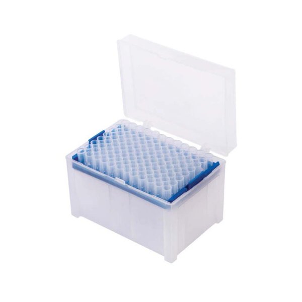Pipette Filter Tips, 100-1000Ul, PK960