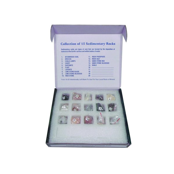 Sedimentary Rock Set, 15 Specimens
