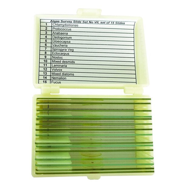 Algae Survey Slide Set of 15