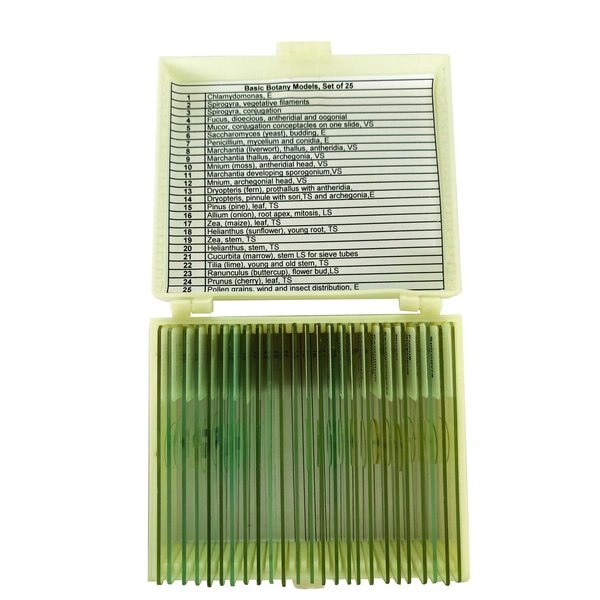 Basic Botany Models Slide Set of 25