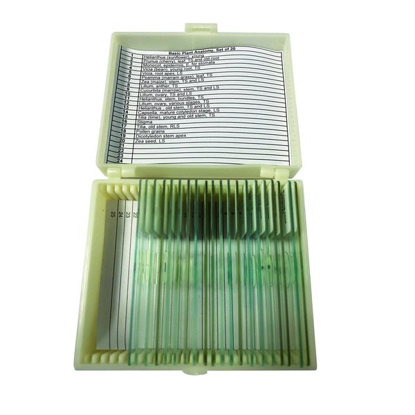 Basic Plant Anatomy Slide Set of 20
