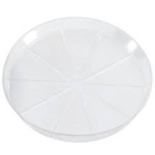Plant Saucer, 6