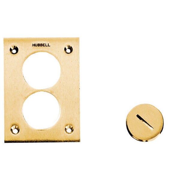 Brass Floor Cover Flush Plug 2 3/8