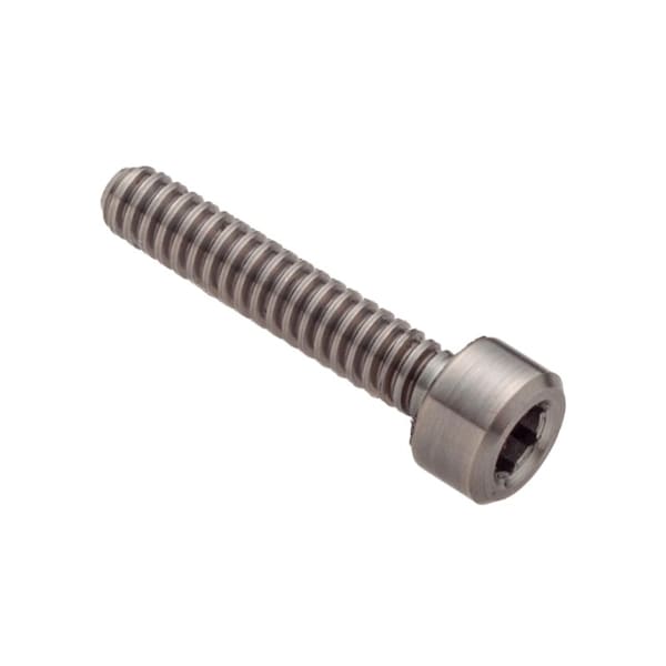 M5 Socket Head Cap Screw, Plain Titanium, 30 mm Length