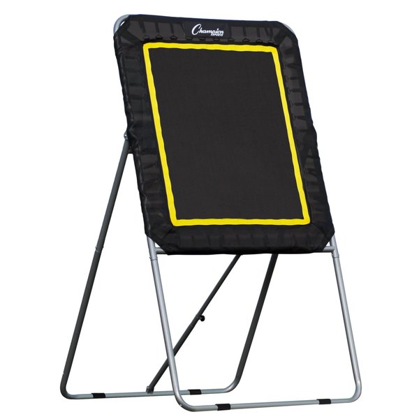 Deluxe Lacrosse Ball, Rebounder, 4x3ft