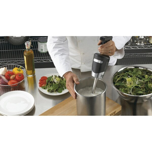 Immersion Blender, Medium-Duty