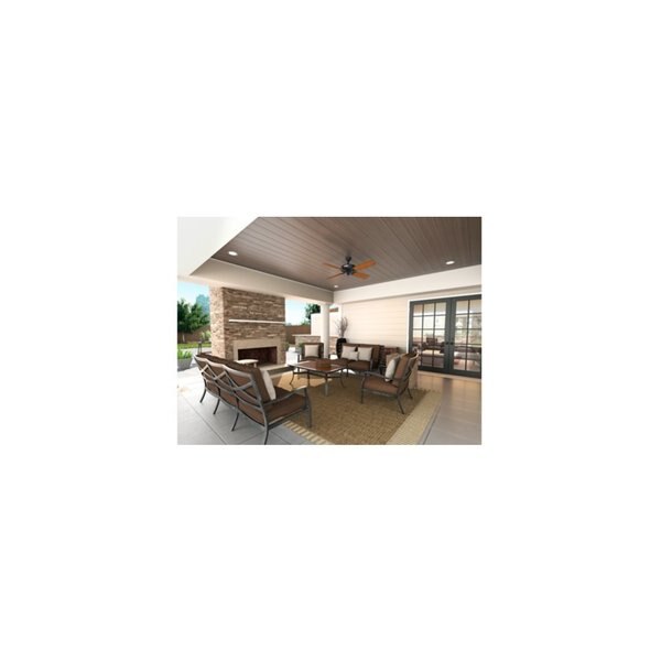 Indoor/Outdoor Ceiling Fan, 52