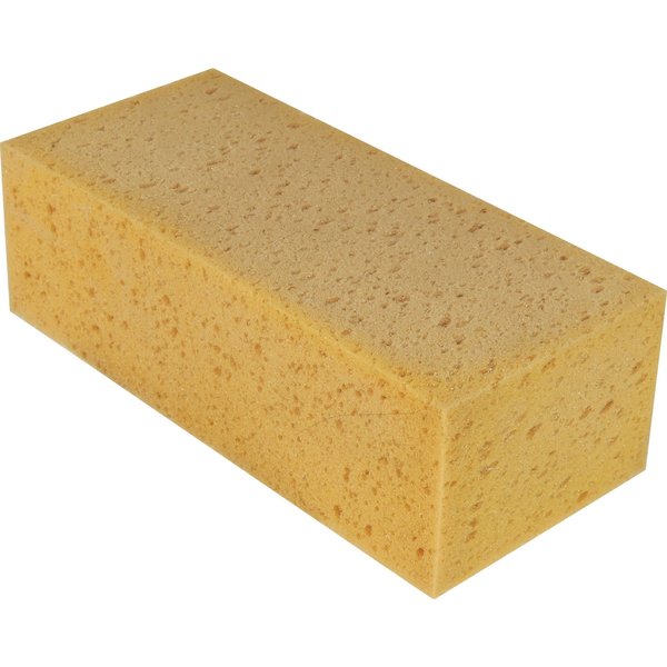 The Sponge