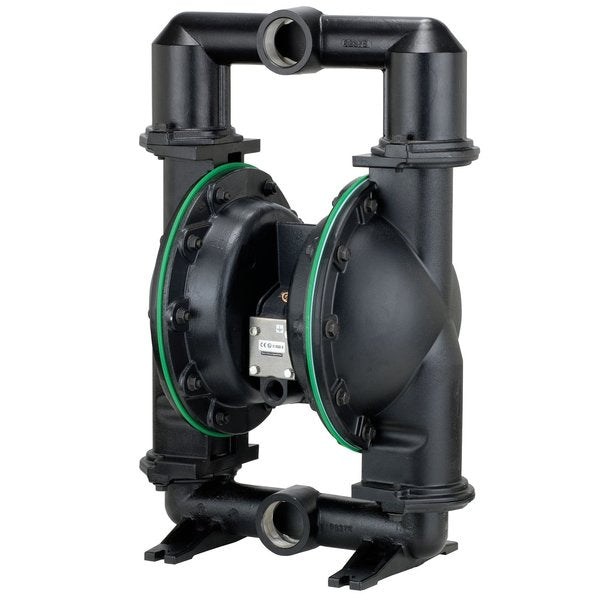 Diaphragm Pump, 2In, 666252-544-C
