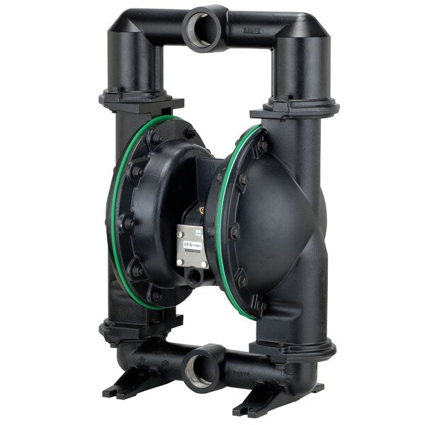 Diaphragm Pump, 2In, 666252-G22-C