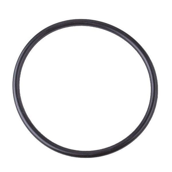 O-Ring, 92761