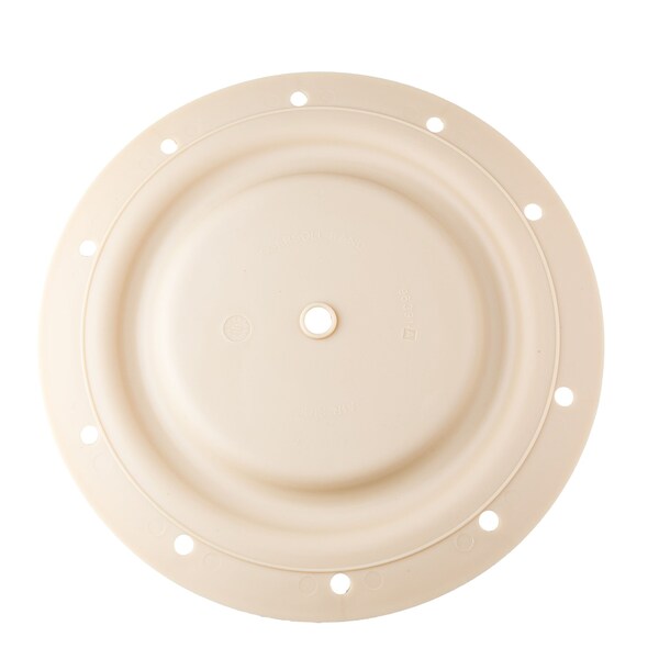 Diaphragm