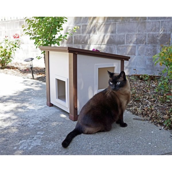 Pet Albany Feral Cat Shelter