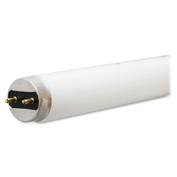Fluorescent Linear Lamp, T8, Cool, 4100K